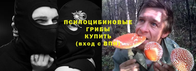 Псилоцибиновые грибы ЛСД  mega как зайти  Родники 